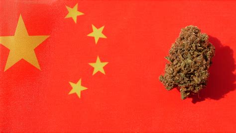 are cannabis seeds legal in china